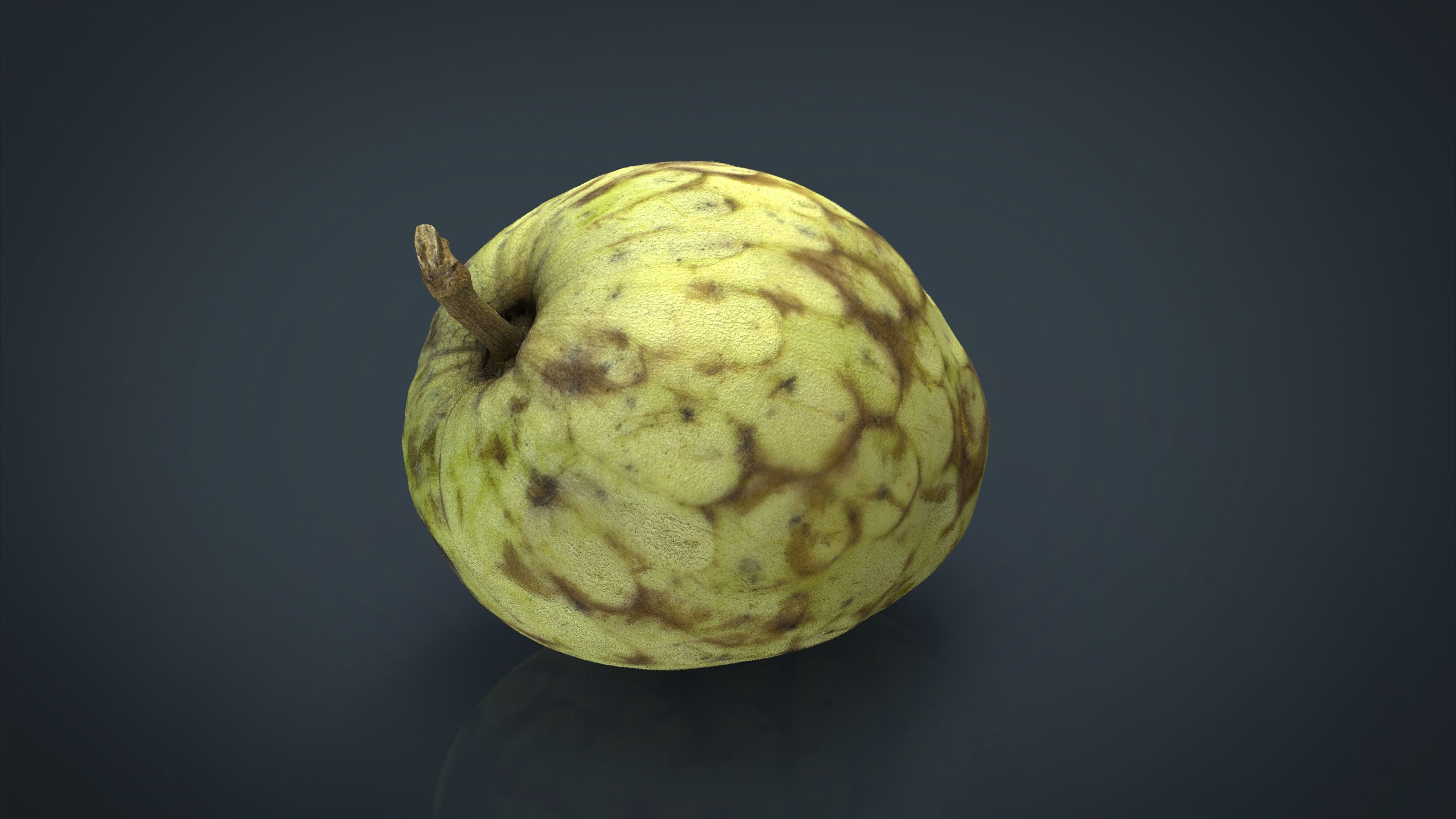 Custard Apple Low-poly 3D model_3