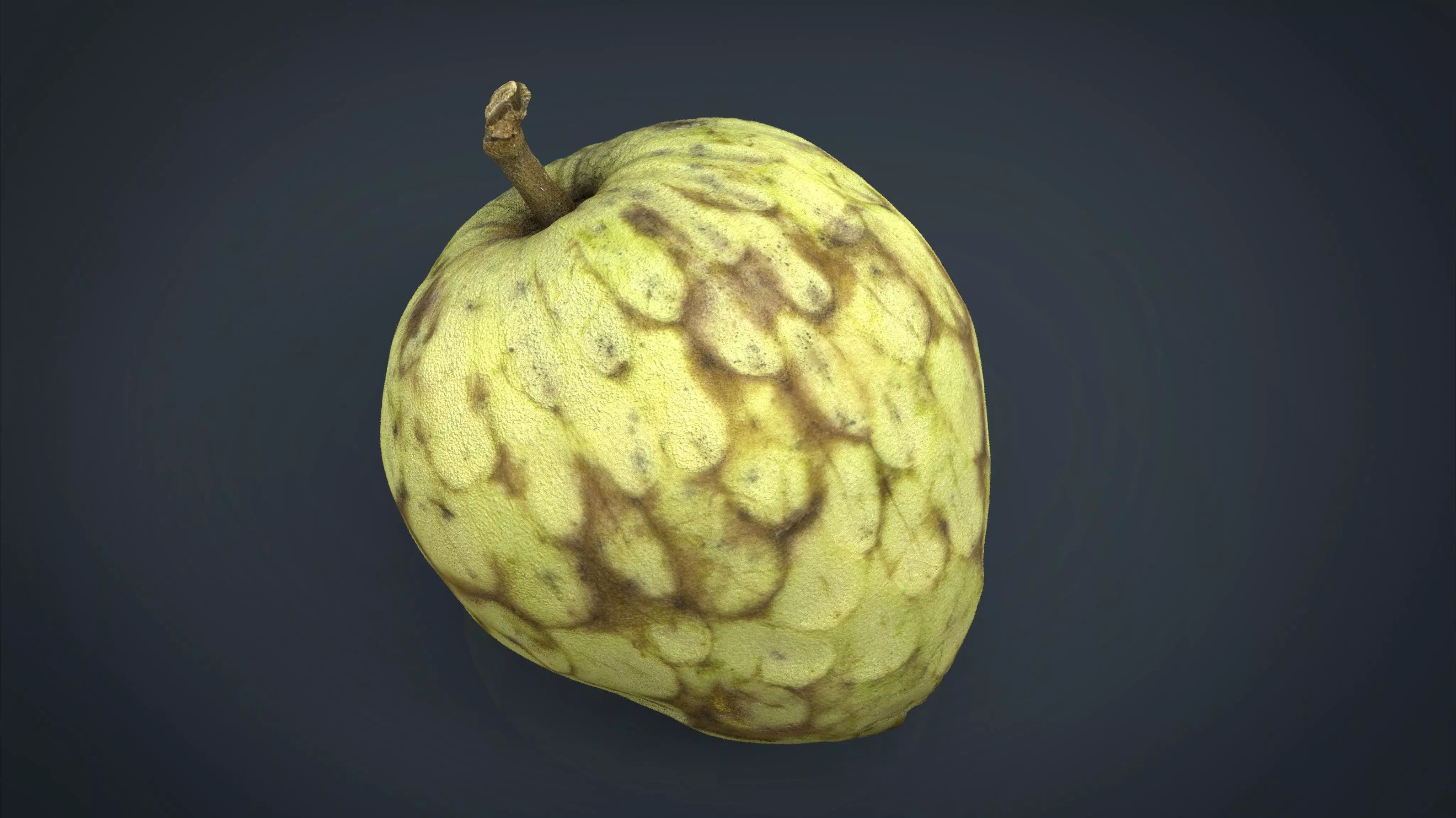 Custard Apple Low-poly 3D model_0