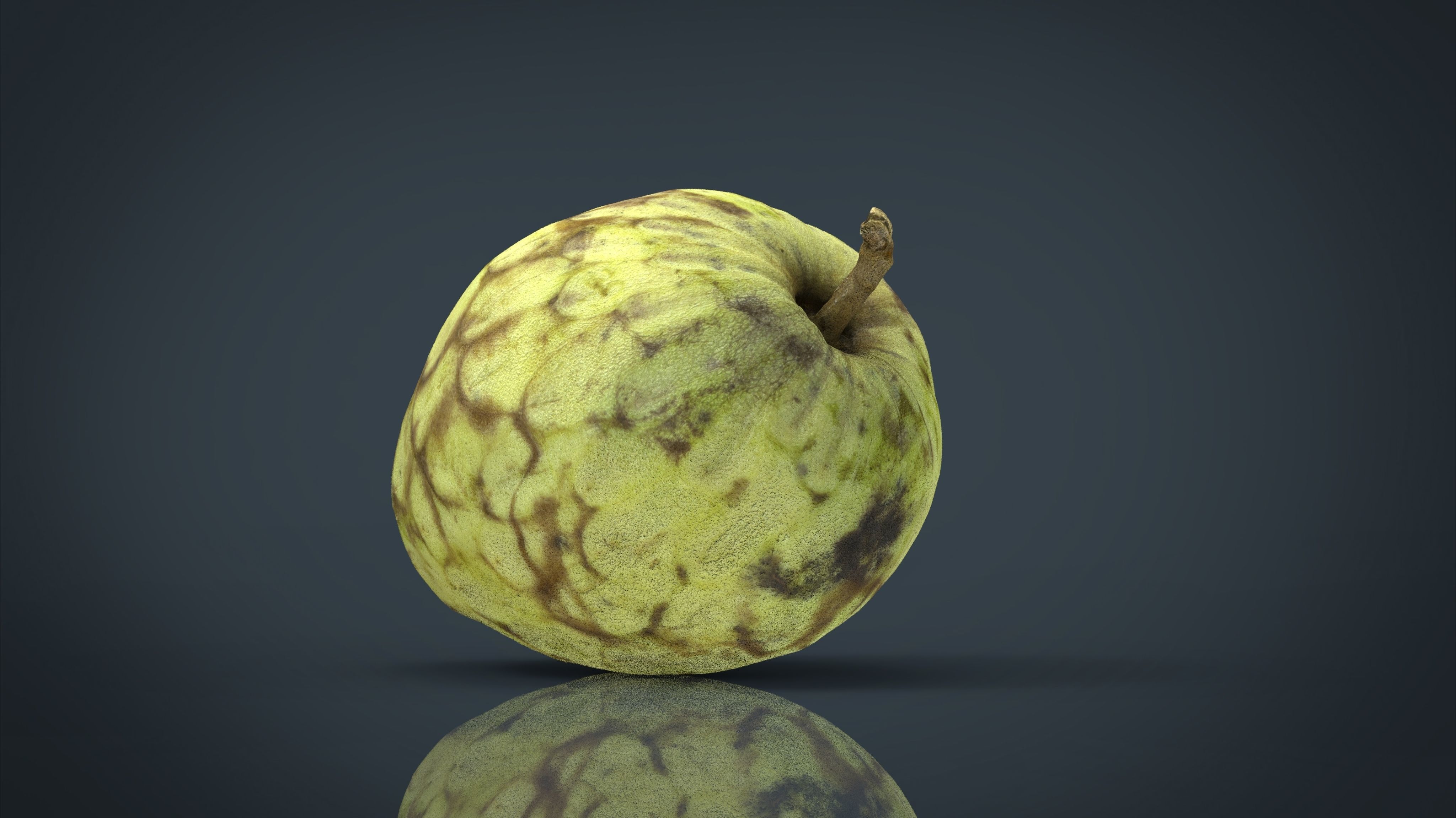 Custard Apple Low-poly 3D model_2