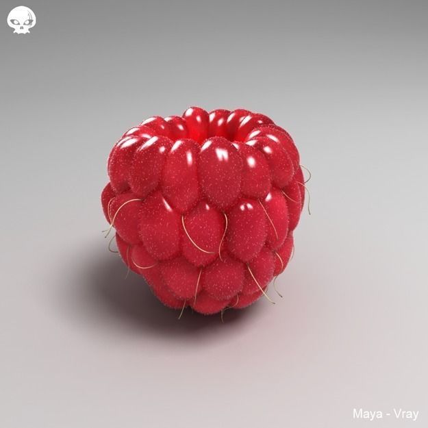 Raspberry two raspberries 3D model_2