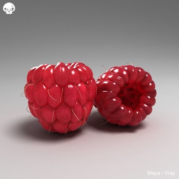 Raspberry two raspberries 3D model_1