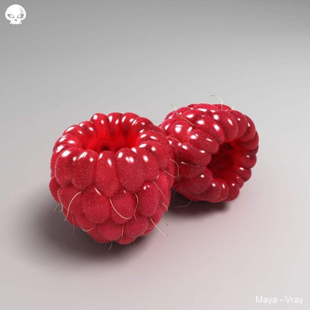 Raspberry two raspberries 3D model_0