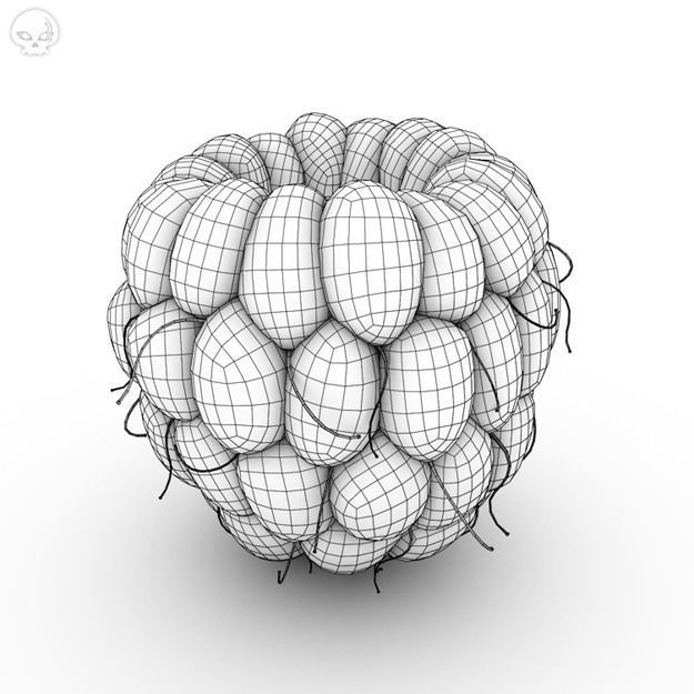 Raspberry two raspberries 3D model_3