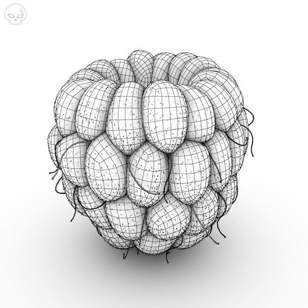 Raspberry two raspberries 3D model_4