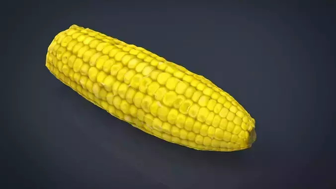  Ear of Corn Low-poly 3D model