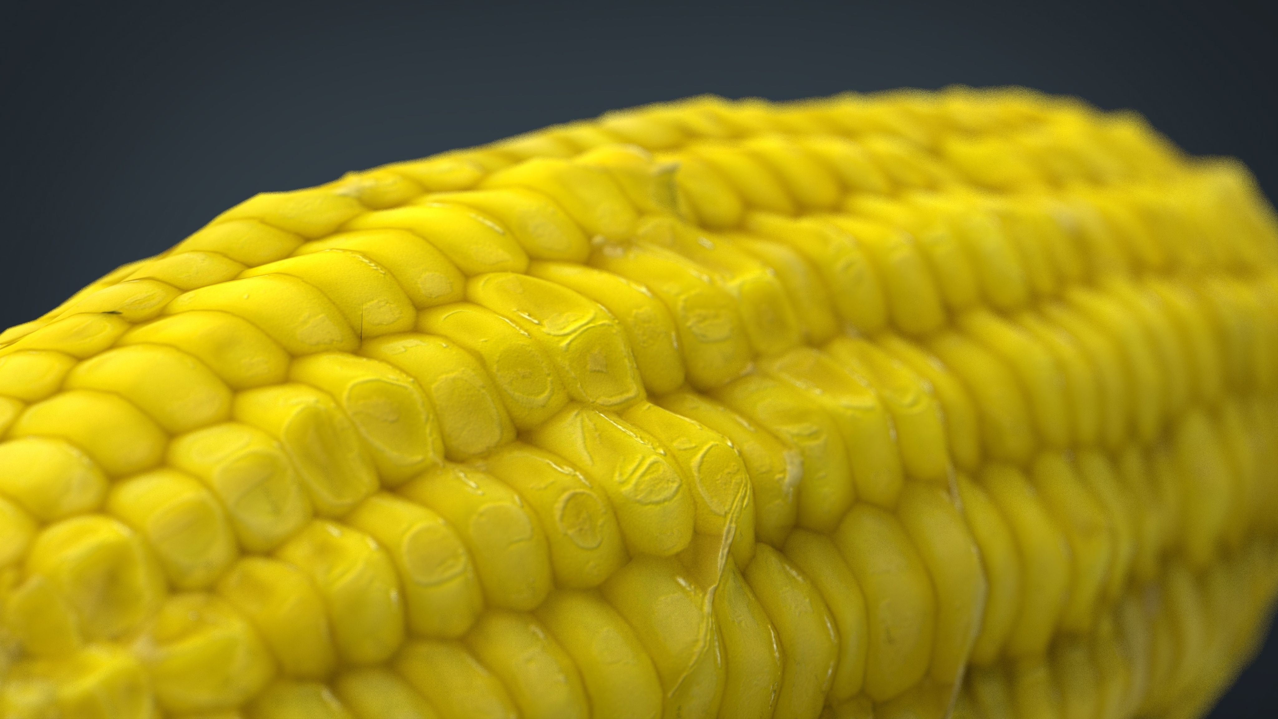 Ear of Corn Low-poly 3D model_11