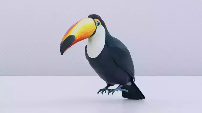 Toucan