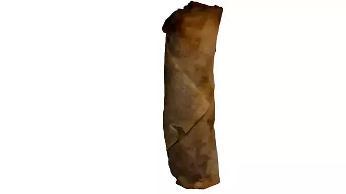 Spring Roll Photorealistic Low-poly 3D model 4