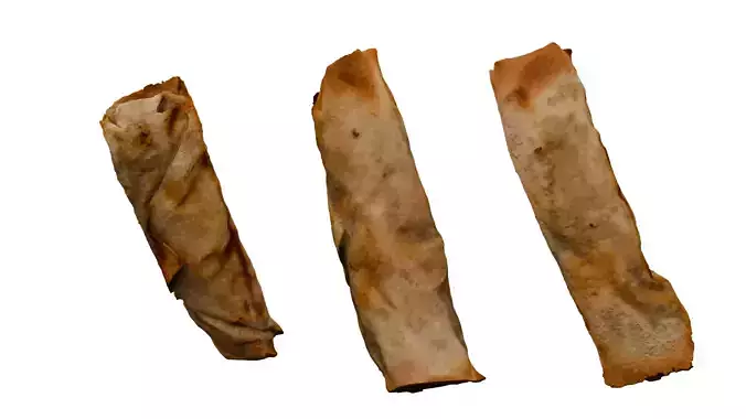 Spring Roll Photorealistic Low-poly 3D model 3