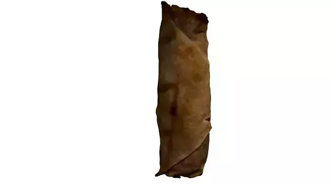 Spring Roll Photorealistic Low-poly 3D model 5