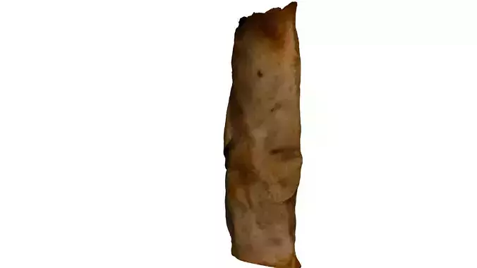 Spring Roll Photorealistic Low-poly 3D model 6