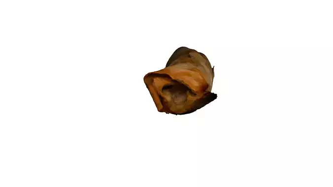 Spring Roll Photorealistic Low-poly 3D model 7