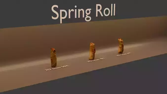Spring Roll Photorealistic Low-poly 3D model 2