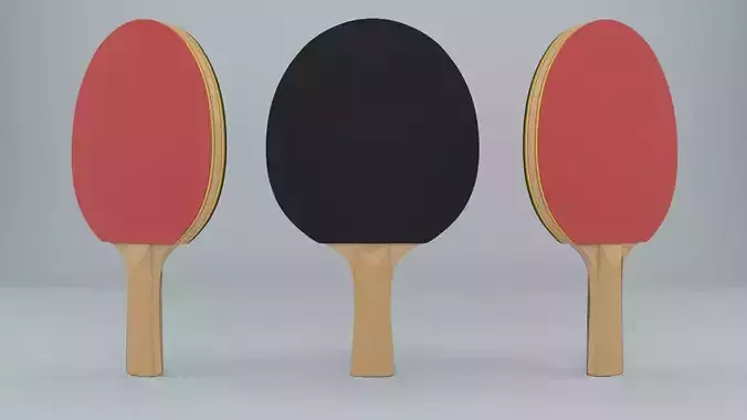 Ping Pong Paddle