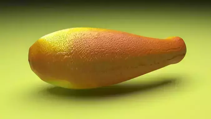 Summer Squash 3D model 6