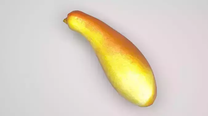Summer Squash 3D model 4