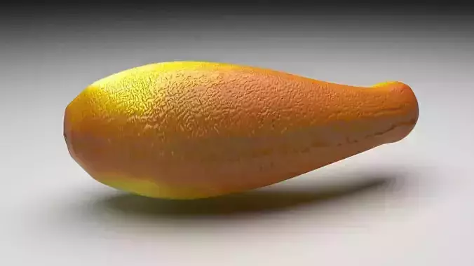 Summer Squash 3D model 5