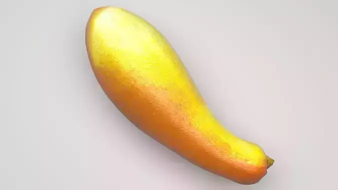 Summer Squash 3D model 2
