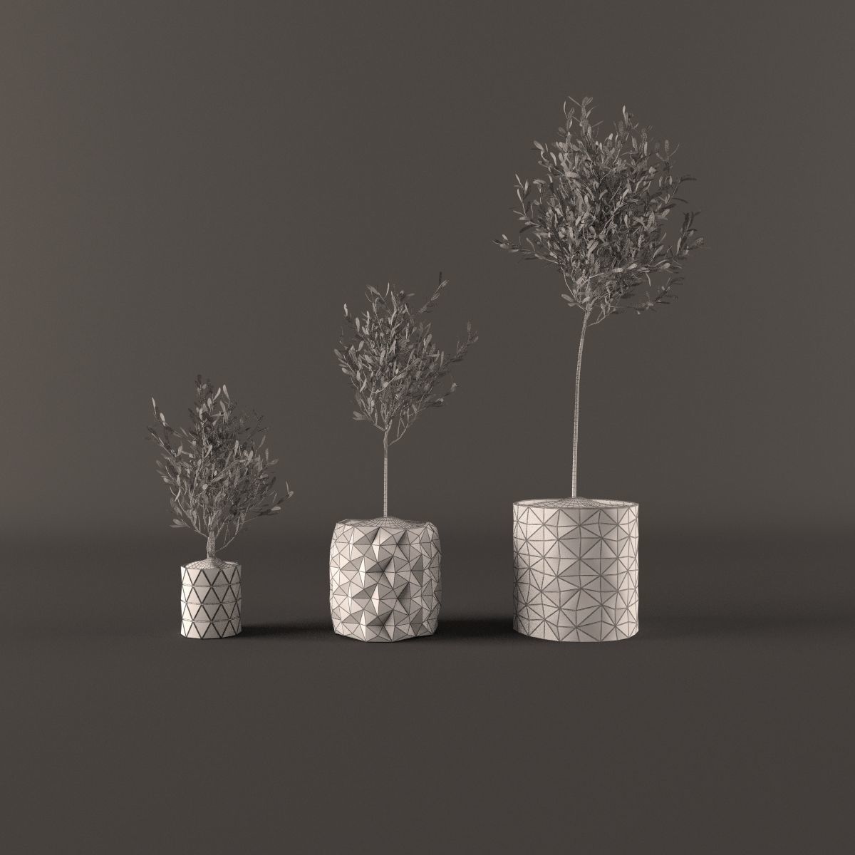 Plants bamboo plant in pot 3D model_79