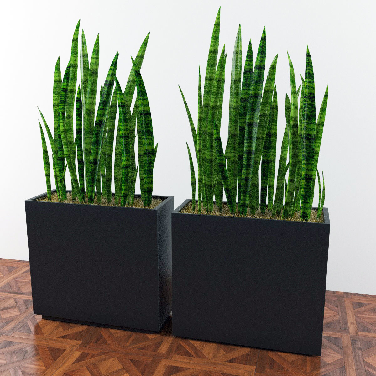 Plants bamboo plant in pot 3D model_49