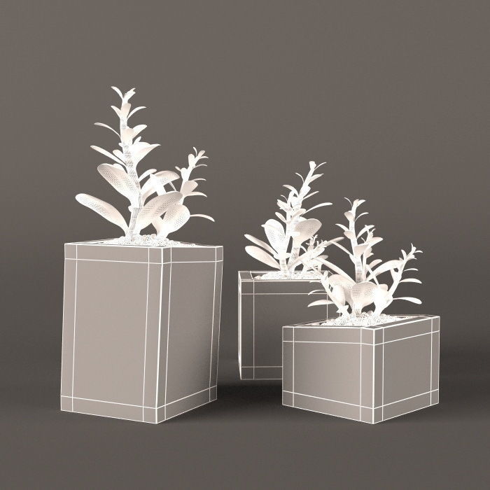 Plants bamboo plant in pot 3D model_62