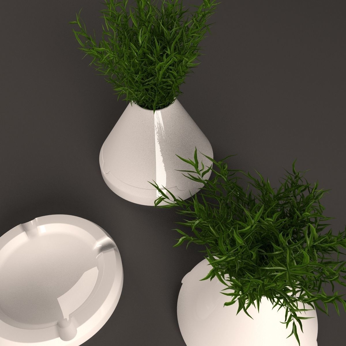 Plants bamboo plant in pot 3D model_86