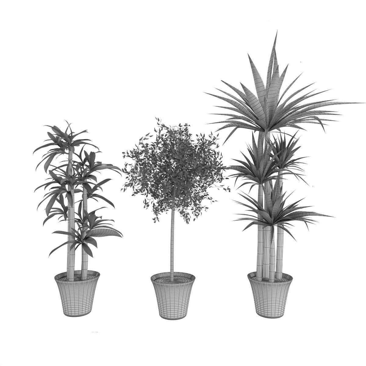 Plants bamboo plant in pot 3D model_53