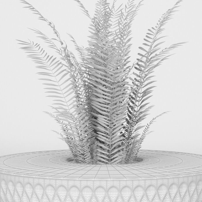 Plants bamboo plant in pot 3D model_32