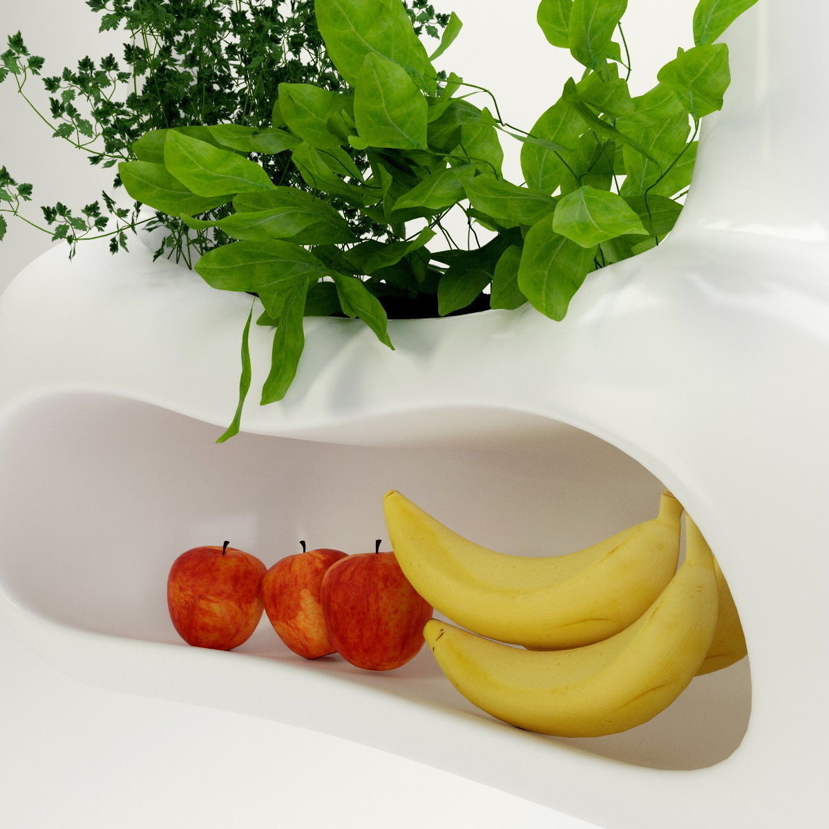 Plants bamboo plant in pot 3D model_41