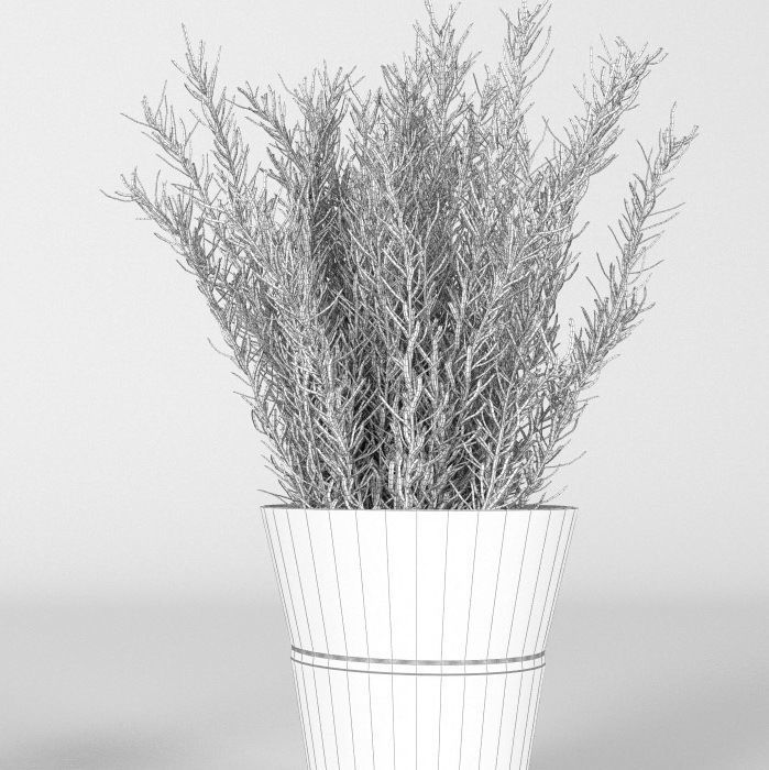 Plants bamboo plant in pot 3D model_63