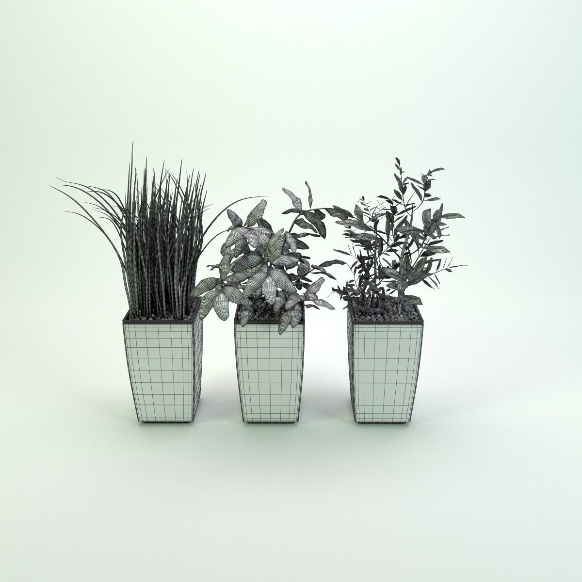 Plants bamboo plant in pot 3D model_37