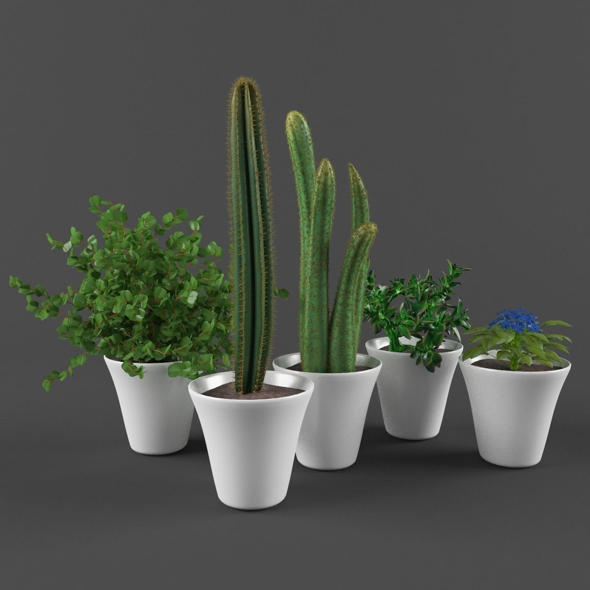 Plants bamboo plant in pot 3D model_76