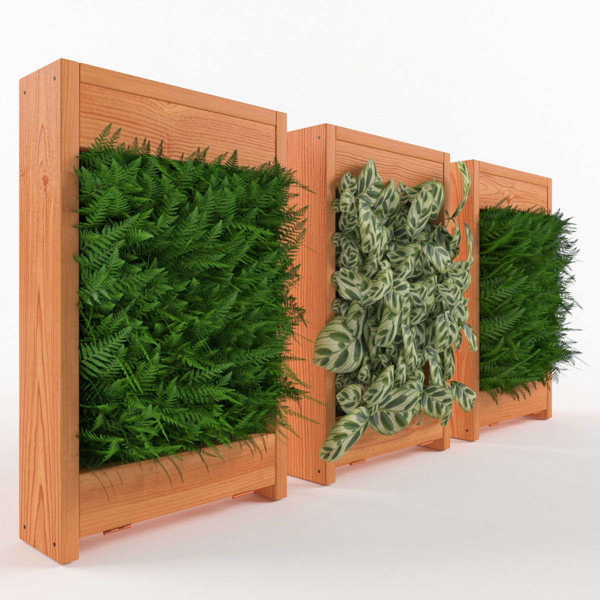 Plants bamboo plant in pot 3D model_18