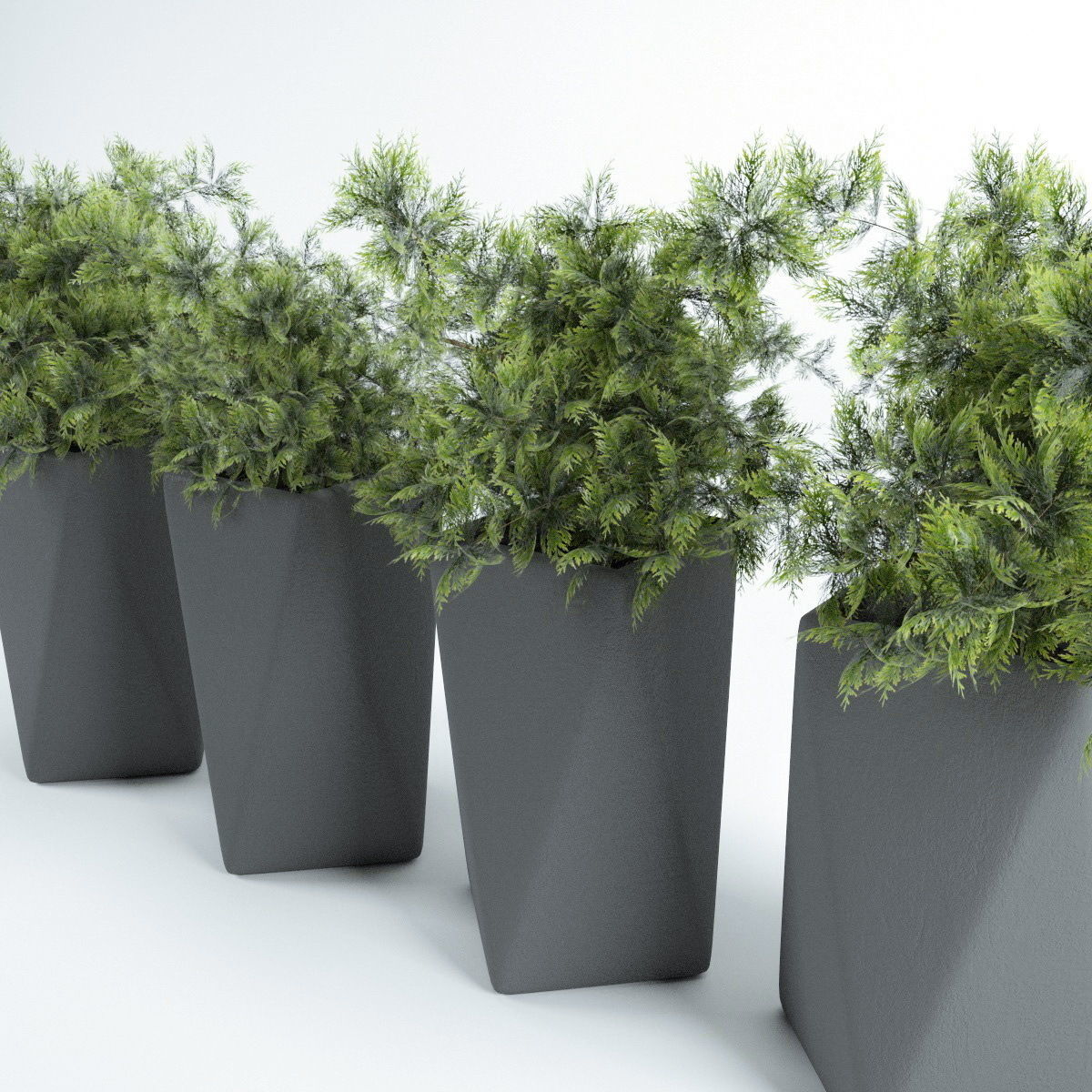 Plants bamboo plant in pot 3D model_58