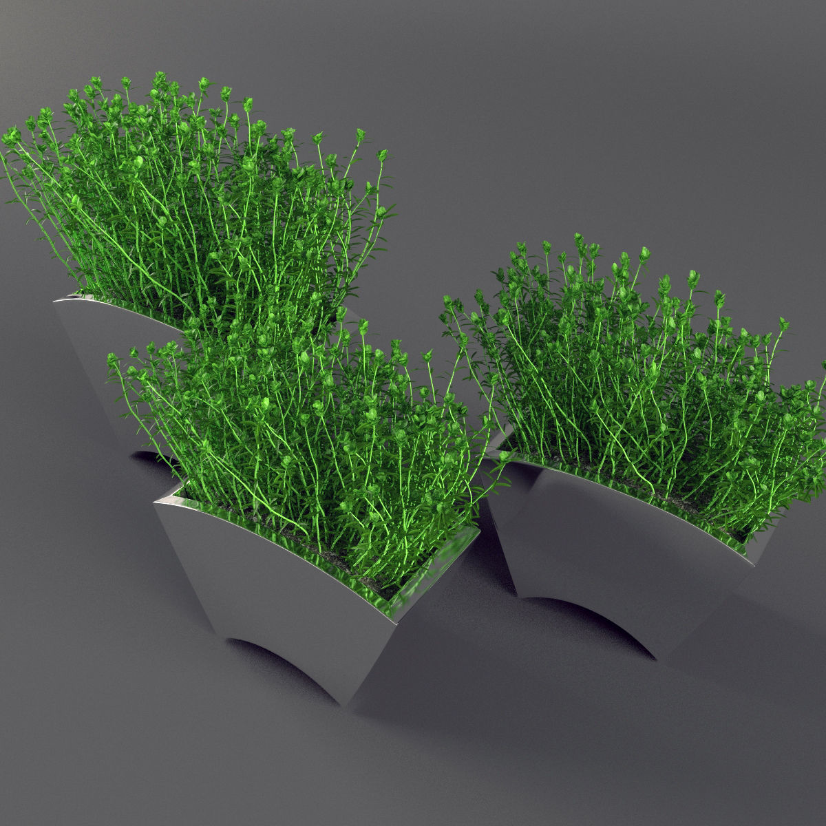 Plants bamboo plant in pot 3D model_6