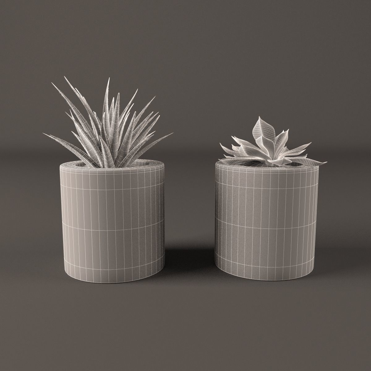 Plants bamboo plant in pot 3D model_81