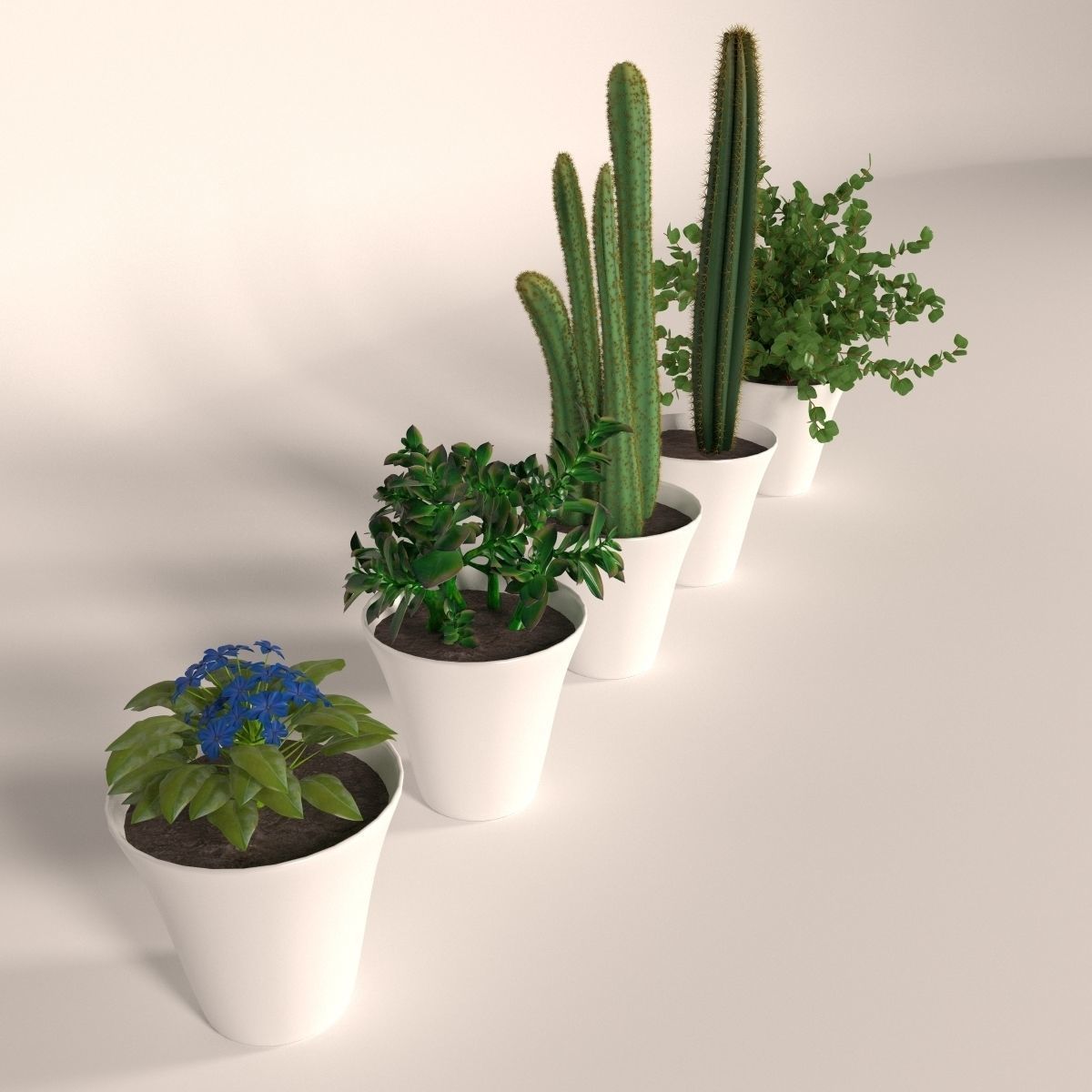 Plants bamboo plant in pot 3D model_77