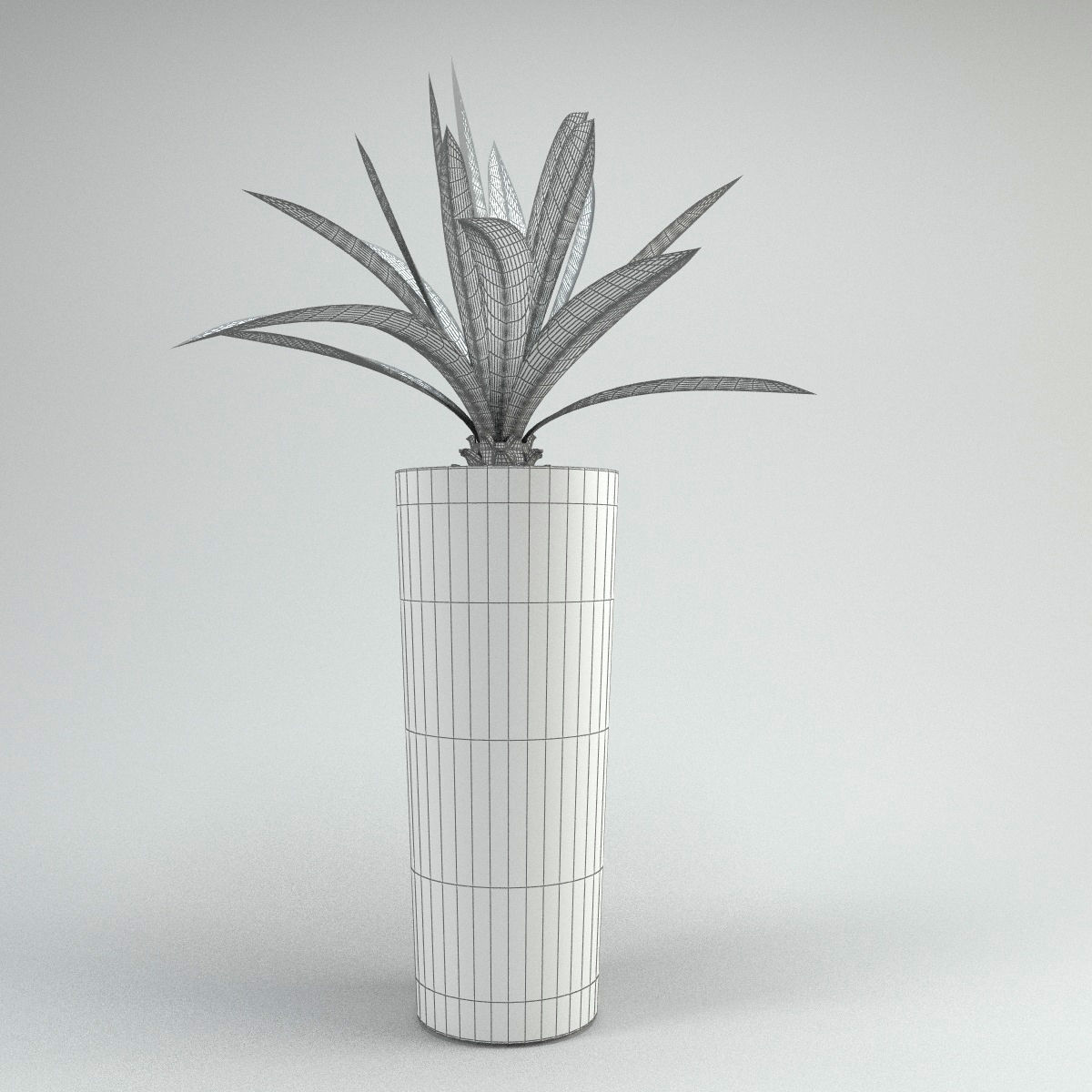 Plants bamboo plant in pot 3D model_13