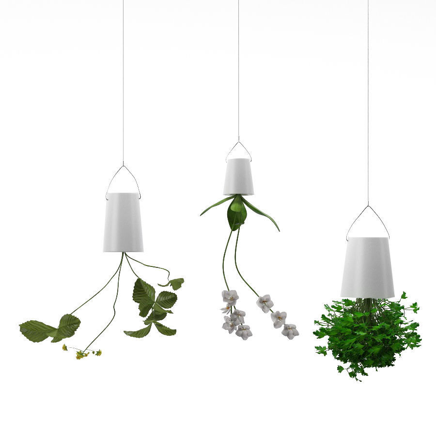 Plants bamboo plant in pot 3D model_51