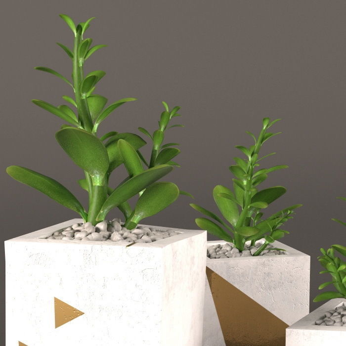 Plants bamboo plant in pot 3D model_59