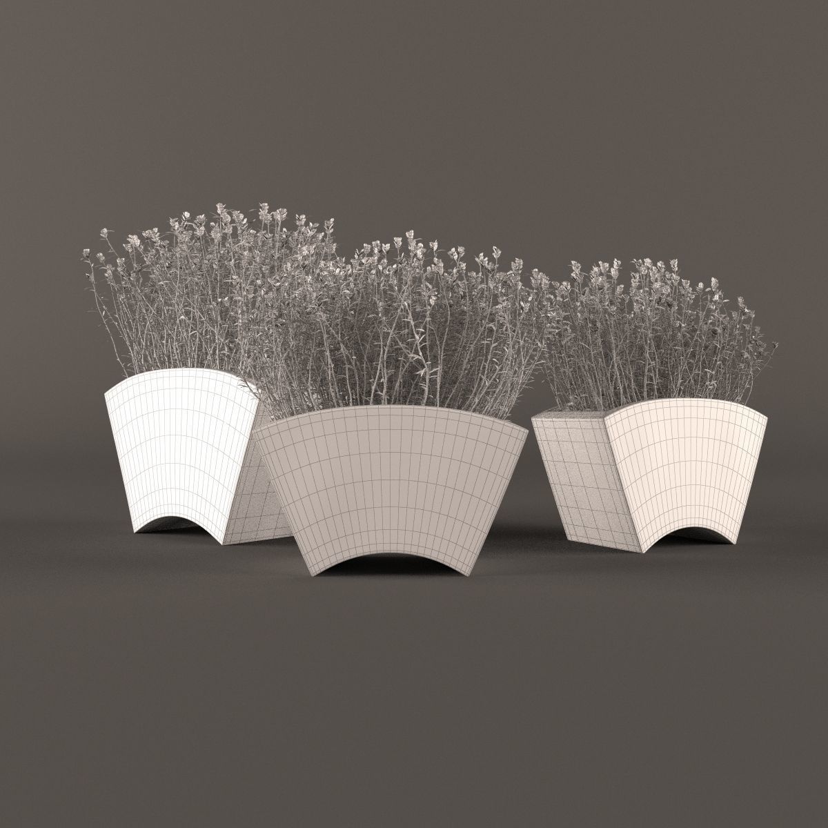 Plants bamboo plant in pot 3D model_5