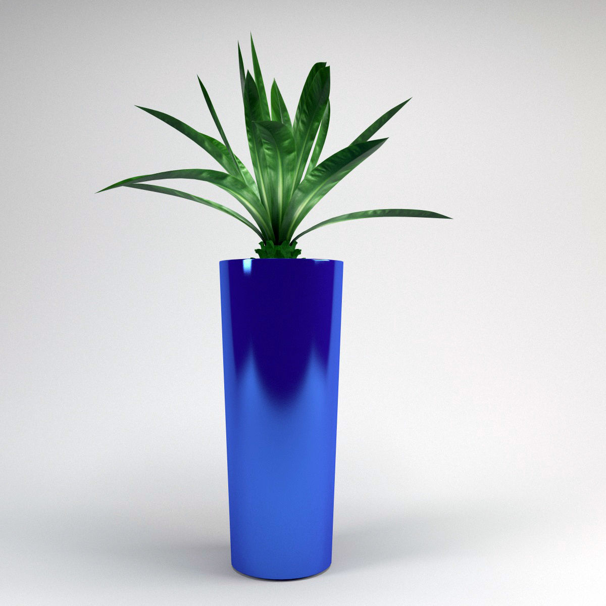 Plants bamboo plant in pot 3D model_14