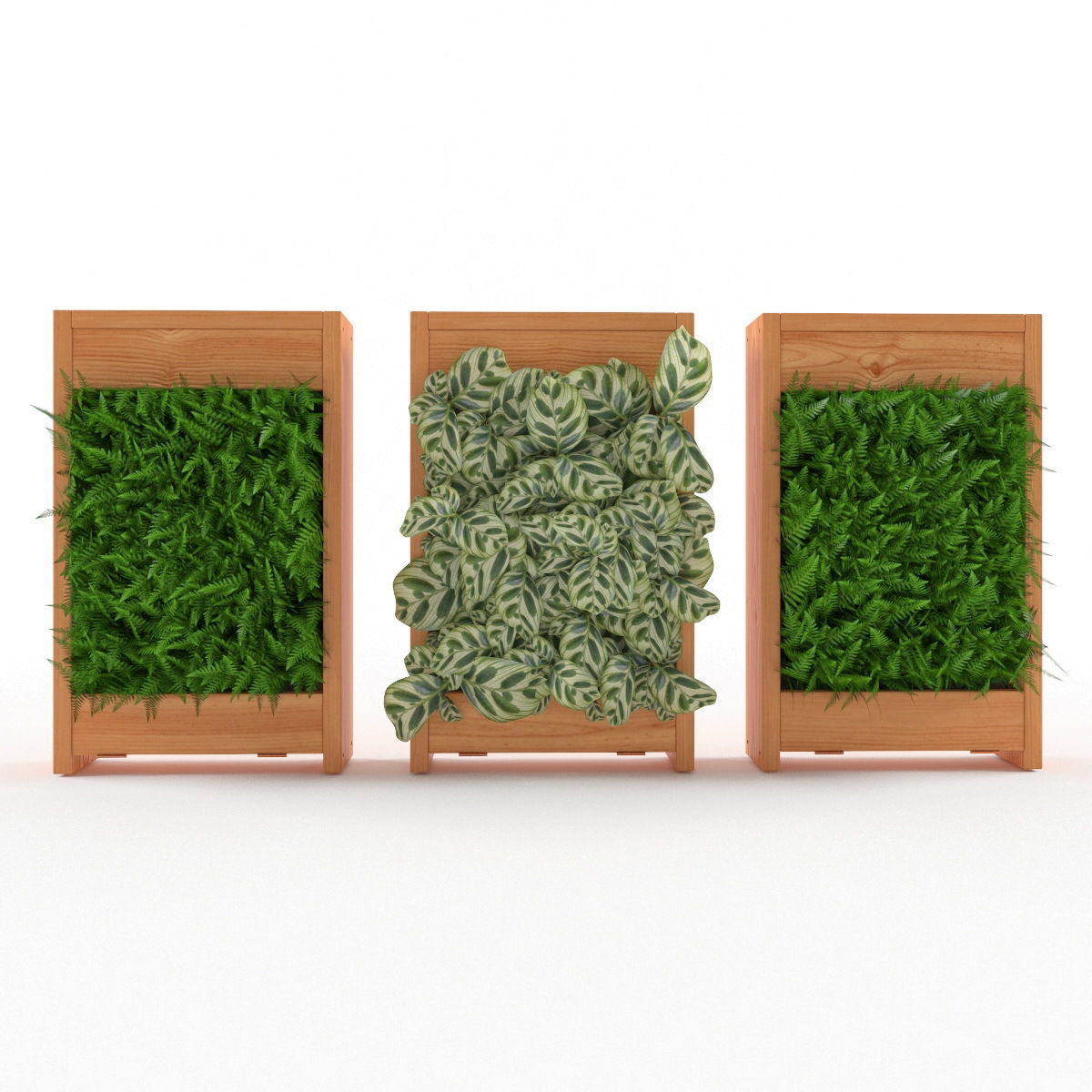 Plants bamboo plant in pot 3D model_17