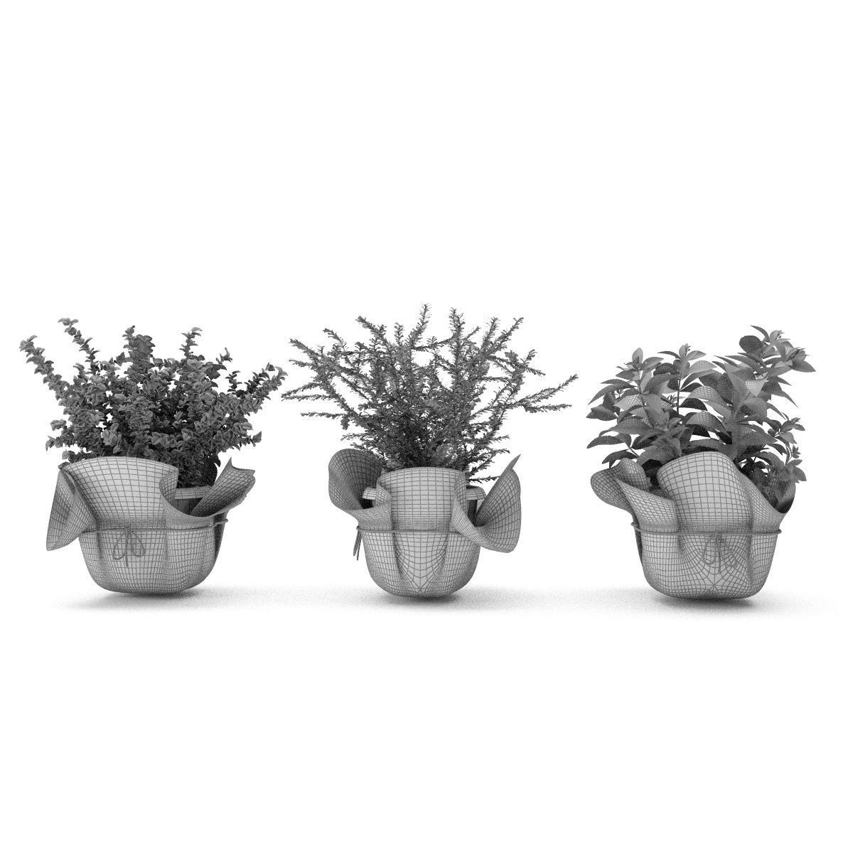 Plants bamboo plant in pot 3D model_42
