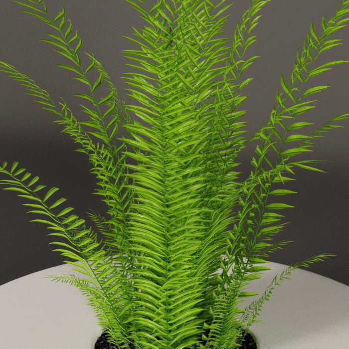 Plants bamboo plant in pot 3D model_30