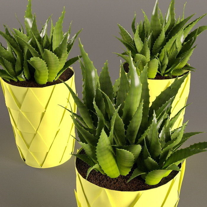 Plants bamboo plant in pot 3D model_22