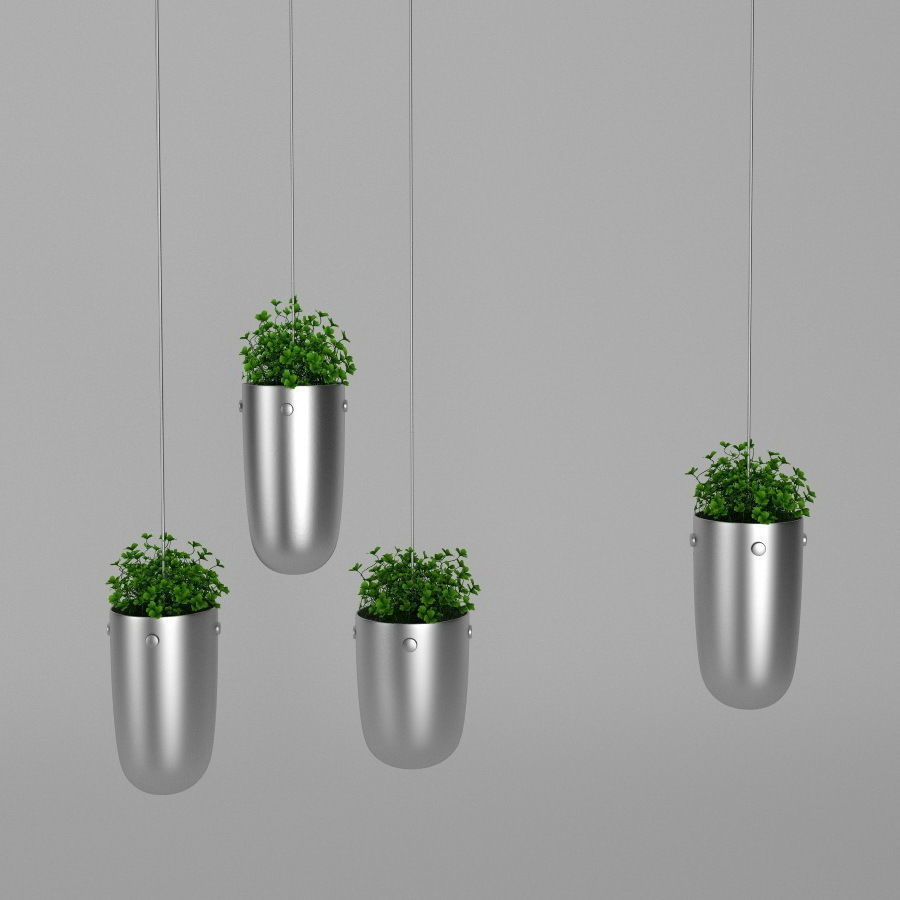 Plants bamboo plant in pot 3D model_10