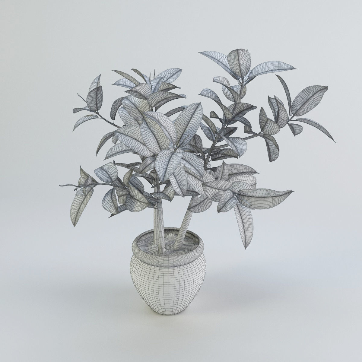 Plants bamboo plant in pot 3D model_68