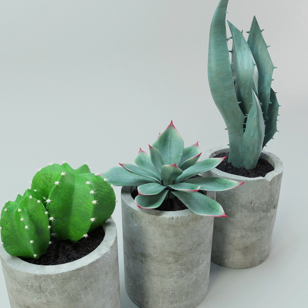 Plants bamboo plant in pot 3D model_2