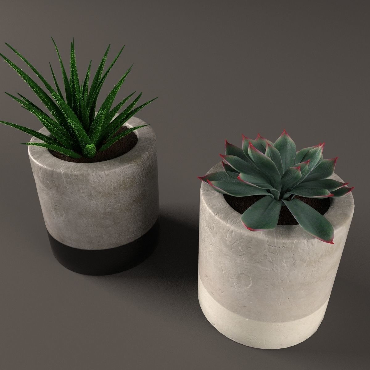 Plants bamboo plant in pot 3D model_82